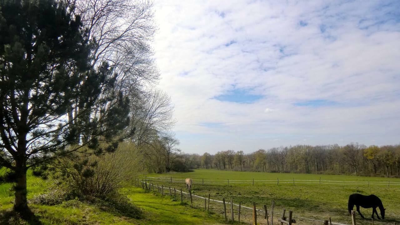 Willa Les Anniquins Ivoy-le-Pré Zewnętrze zdjęcie